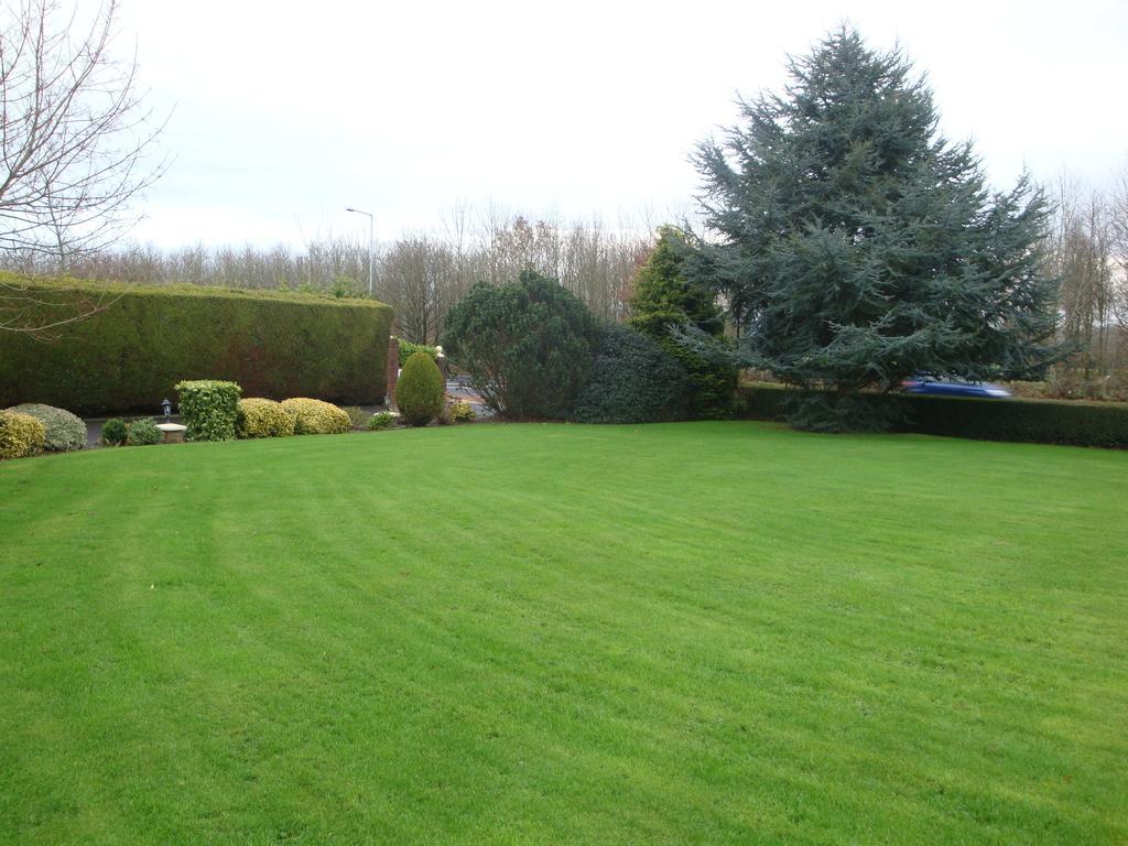 Meadow View B&B Navan Exterior foto